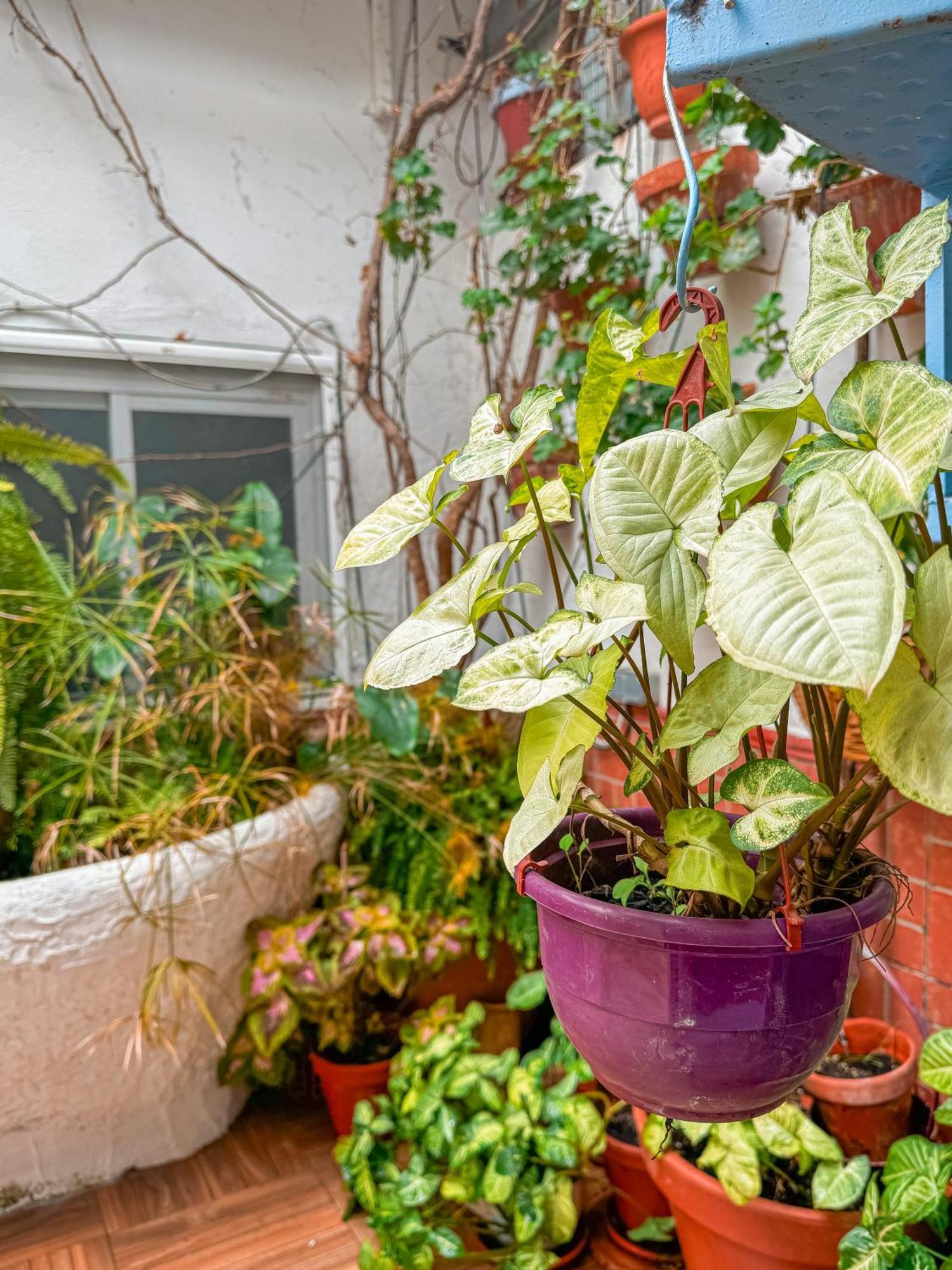 Casa Cruz Villa Almodóvar del Río Dış mekan fotoğraf